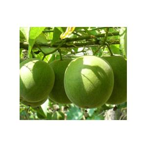 Grosvenor momordica extract