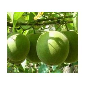 Grosvenor momordica extract