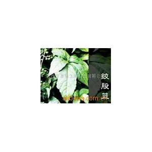 惠瑞生物/供应/纯天然/绞股蓝