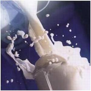 可得然胶（又名：凝胶多糖）