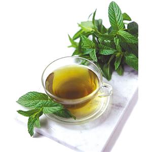 浙江东方茶业供应速溶茶粉系列