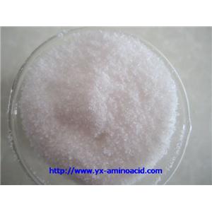 L-焦谷氨酸/L-Pyroglutamic acid