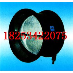 重庆防火止回阀 重庆铰链式蝶阀 德州天傲逆止阀