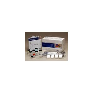 人单核细胞趋化蛋白4(MCP-4/CCL13) ELISA试剂盒