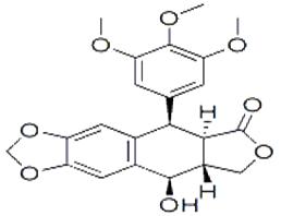 鬼臼毒素;cas:518-28-5;Podophyllotoxin
