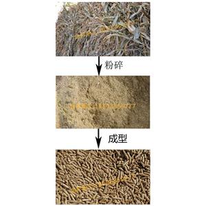 玉米秸秆颗粒设备/生物质秸秆成型机/小麦秸秆颗粒机