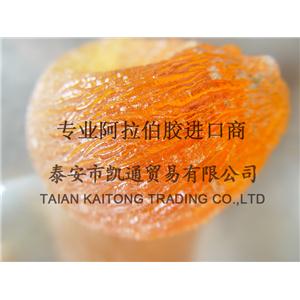 大量批发阿拉伯胶 阿拉伯树胶报价