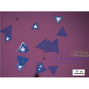 CVD-WSe2三角形单晶