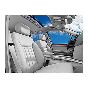 .PPGS For Car Seats And Interior Molding