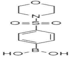 4-(吗啉磺酰基)苯硼酸