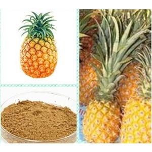 菠萝粉 菠萝提取物 菠萝果粉  100%速