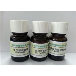 食用海鲜味香精香料-火锅餐厅调味料