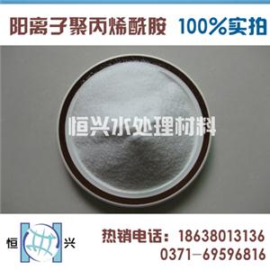 聚丙烯酰胺阳离子