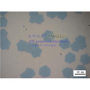 CVD-MoSe2 三角形单晶