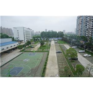 POPS丙炔醇醚丙烷磺酸钠 / 炔丙基-3-磺化丙基醚钠盐