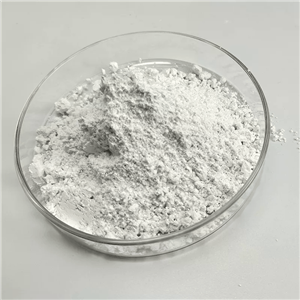 环孢素||CAS号:59865-13-3