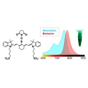 近红外荧光活性酯IR755B-NHS  （相当于Cy7-NHS）
