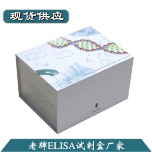 人细胞间粘附分子1(ICAM-1)ELISA试剂盒