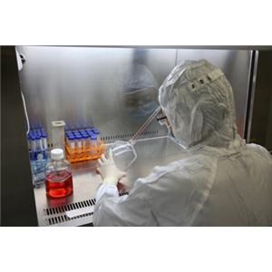 HPAC贴壁培养传代细胞系