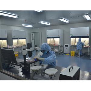 HCT-15细胞系专业培养|CCL-225