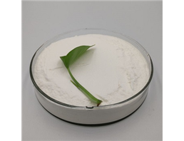 三聚硫氰酸三钠盐厂