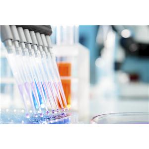 气相色谱仪检定用标准物质（正十六烷-异辛烷溶液）