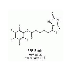 PFP-Biotin，Biotin-PFP，Biotin-PFP-ester