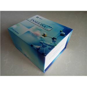 人瘦素（LEP）酶联免疫（ELISA）试剂盒