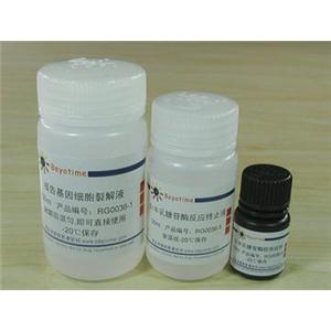 β-半乳糖苷酶报告基因检测试剂盒