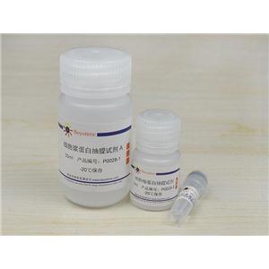 细胞核蛋白与细胞浆蛋白抽提试剂盒