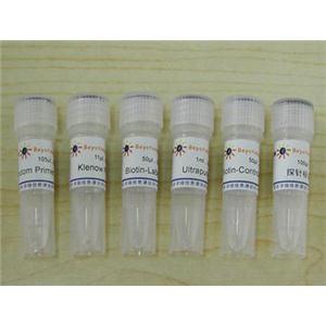 生物素随机引物DNA标记试剂盒