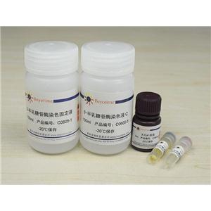 溶酶体β-半乳糖苷酶染色试剂盒