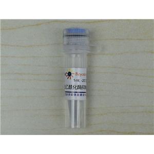 去乙酰化酶抑制剂混合物(100X)