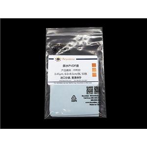 亲水PVDF膜(进口分装, 6.6×8.5cm, 0.45μm)