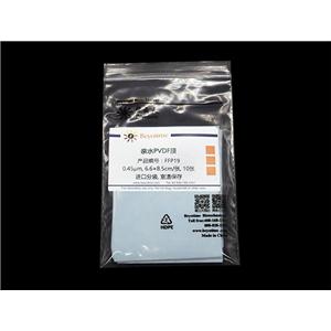 亲水PVDF膜(进口分装, 6.6×8.5cm, 0.45μm)