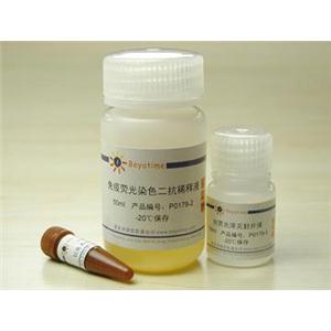 免疫荧光染色试剂盒-抗兔Alexa Fluor 555