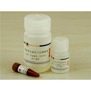 免疫荧光染色试剂盒-抗兔Alexa Fluor 488