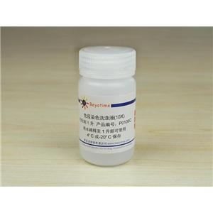 免疫染色洗涤液(10X)