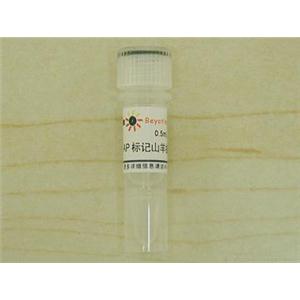 碱性磷酸酯酶标记山羊抗小鼠IgG(H+L)