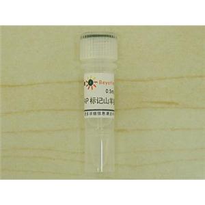 碱性磷酸酯酶标记山羊抗兔IgG(H+L)