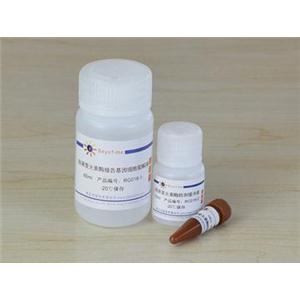 海肾萤光素酶报告基因检测试剂盒