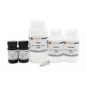 化学发光法生物素标记核酸检测试剂盒