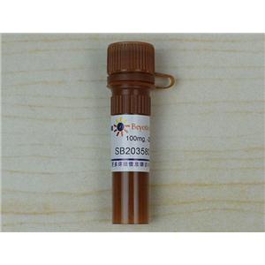 SB203580 (p38 MAPK抑制剂)