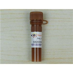 SB203580 (p38 MAPK抑制剂)