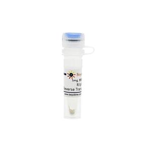 Rilpivirine (Reverse Transcriptase抑制剂)