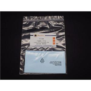 PVDF膜(进口分装, 8.5×13.2cm, 0.45μm)