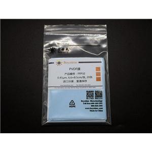 PVDF膜(进口分装, 6.6×8.5cm, 0.45μm)