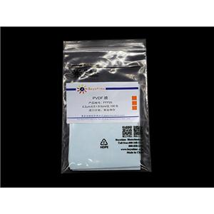 PVDF膜(进口分装, 6.6×8.5cm, 0.2μm)