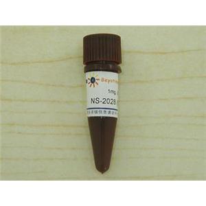 NS-2028 (sGC抑制剂)
