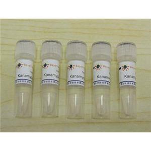 Kanamycin (10mg/ml,1000X)